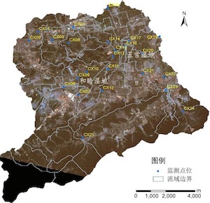 图1 城西湿地采样点布设示意图