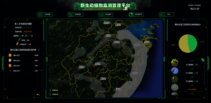 3鸟类同步调查