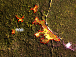 2011年泥炭藓湿地范围