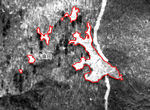 2003年泥炭藓湿地范围